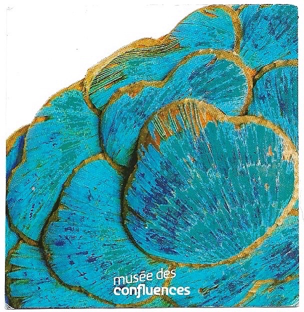 Musée de Confluences