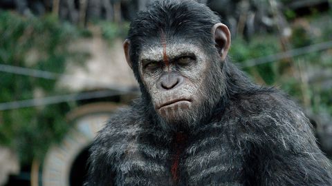 Dawn of the Planet of the Apes (2014)
