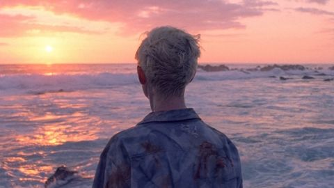 Les Garçons sauvages